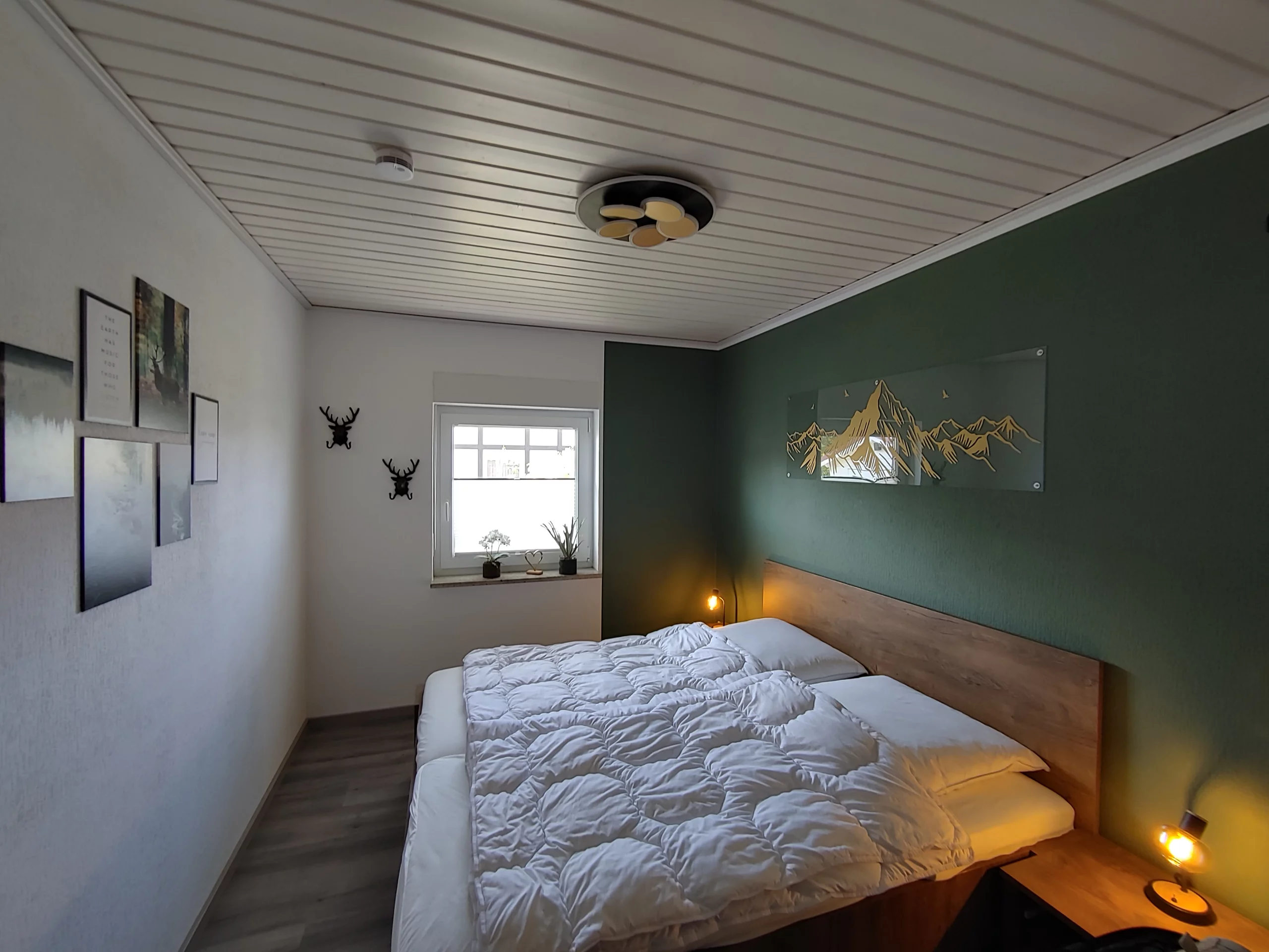 grünes Zimmer (3)